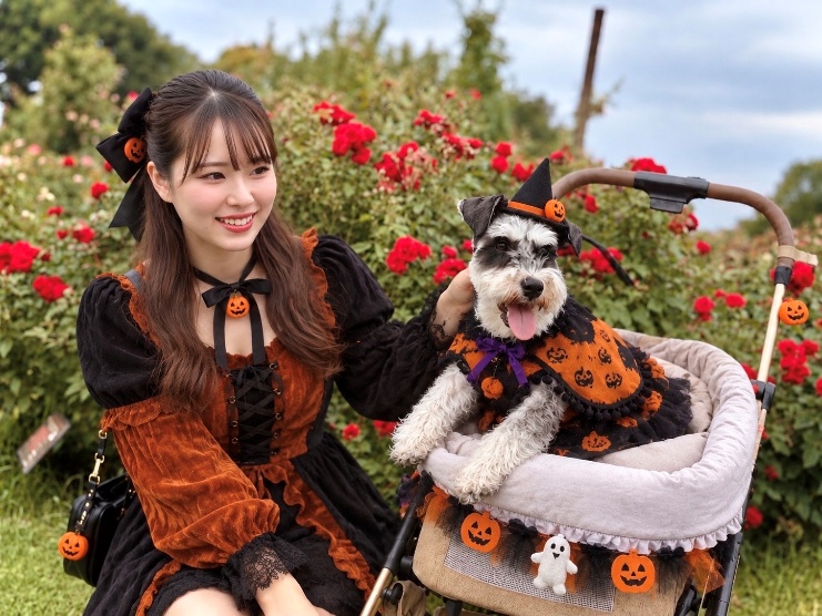 愛犬コスプレDAY