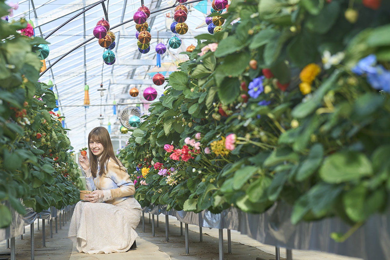オズのストロベリーが楽しめるシークレットガーデン