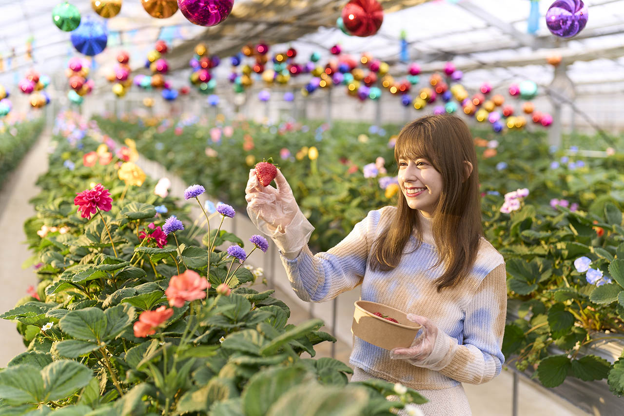 オズのストロベリーが楽しめるシークレットガーデン