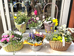 母の日ギフトフェア