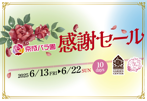 京成バラ園感謝セール
