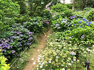 自然風庭園