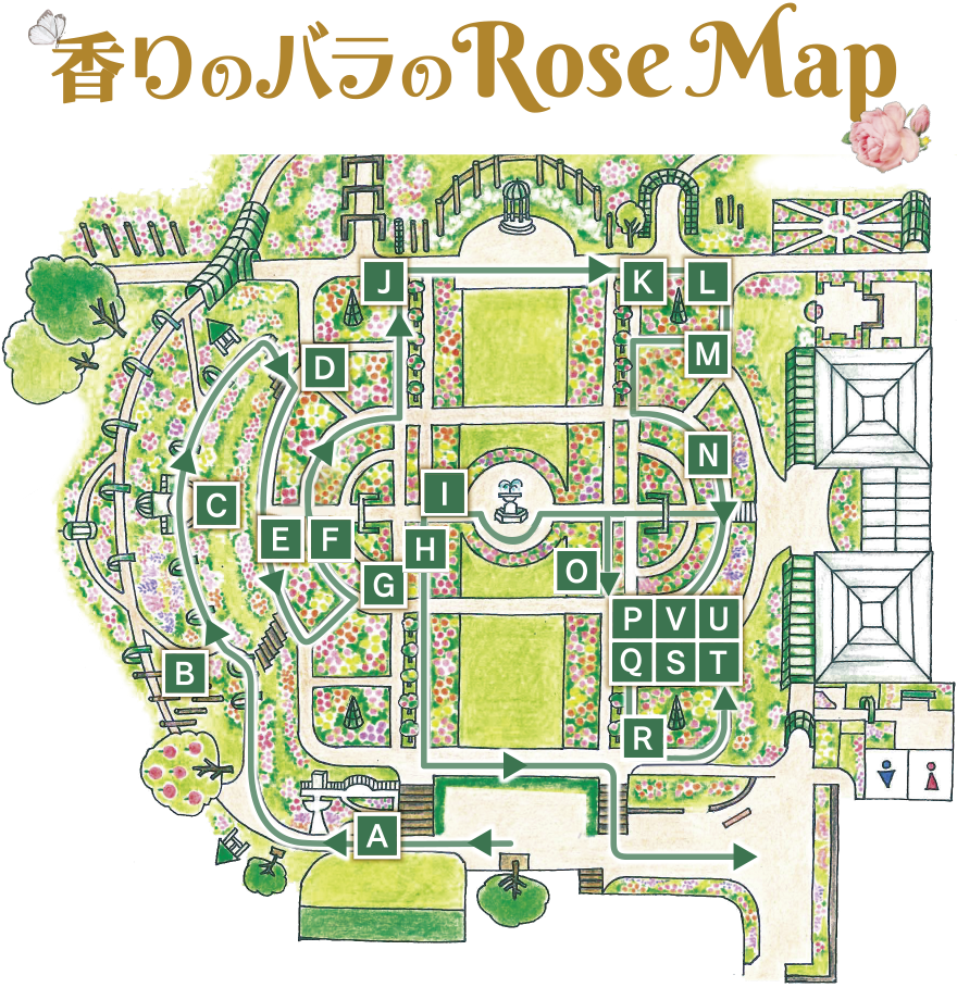 香りのバラのRoseMap