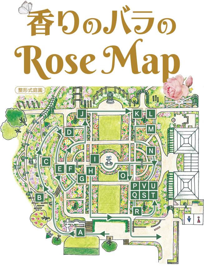 香りのバラのRoseMap